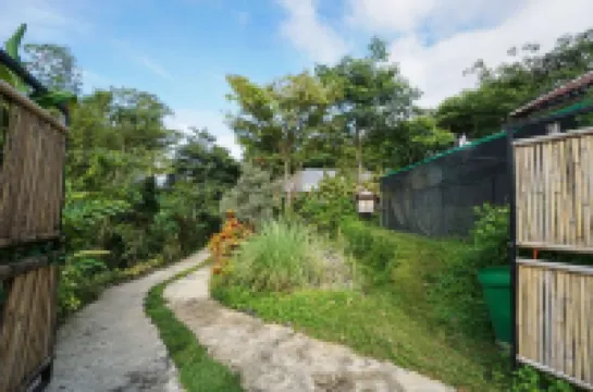 Oak Tree Glamping Resort