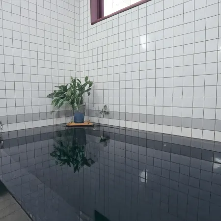 Hotel Kanezumi