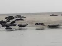 Le Refuge Hotels in Berck