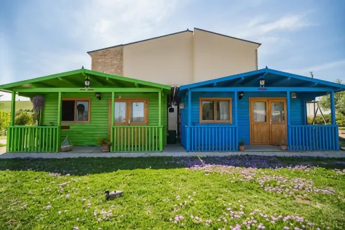 디모라 로소 피체노