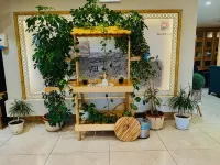 Shatha Abha Furnished Units