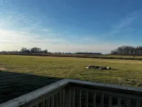 Fly in on a grass runway to a charming 3-bedroom house on a pheasant preserve - 4-Star