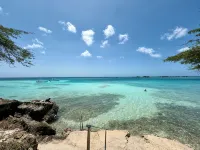 New Oceanfront Apartment Mangel Halto — Laguna Vista - 3-Star