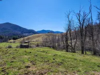 Serene Pine Tree Meadows Cottage w/ Stunning Views