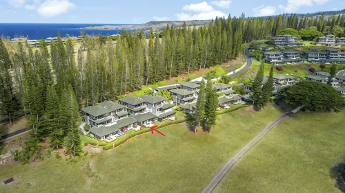 The Most Gorgeous OV Villa in Kapalua Sleeps 6 - WiFi