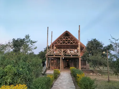 Engiri Game Lodge and Campsite - bar