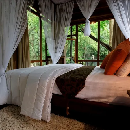Clio Ella Resort