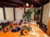 Il Mondo di Gaia "Il GALLO" Hotels in Monopoli