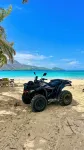 PALM HOUSE LUXURY VILLA - OCEAN FRONT PARADISE - Villas