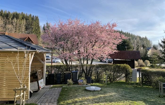 Apartment with fireplace on the Rennsteig in the Thuringian Forest