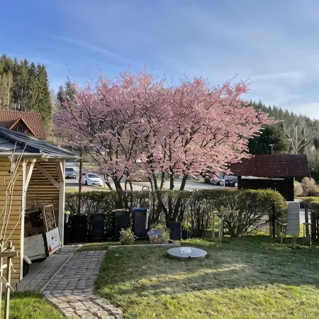 Apartment with fireplace on the Rennsteig in the Thuringian Forest