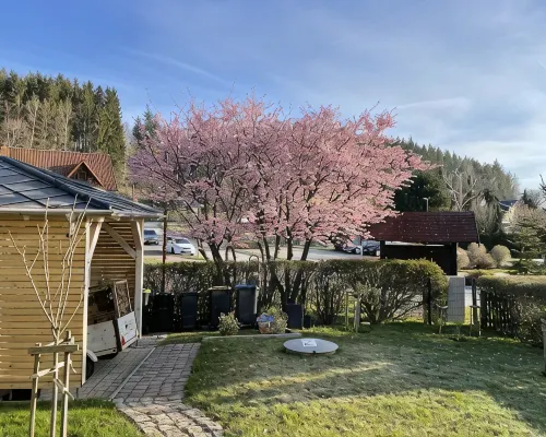 Apartment with fireplace on the Rennsteig in the Thuringian Forest Hotels in Friedrichroda