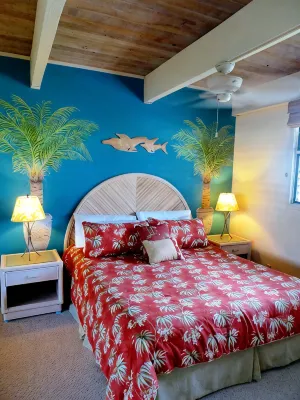 Direct Oceanfront Condo!  Sea Turtles & Beautiful Sunsets from the Lanai