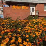 Dolche Vita Hotel のホテル