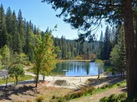 Luxury Home in Blue Lake Springs, Close to Bear Valley and Giant Sequoia Trees Hotels in Arnold