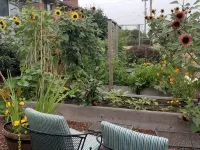 Gorgeous Garden Getaway, Near Cafes, Parks Hotels near King County (Boeing Field) International Airport