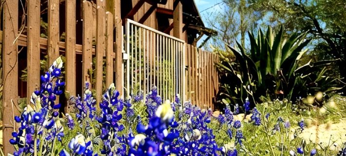 El Castell on the Llano River [Cabins C + D] Hotels in Llano County