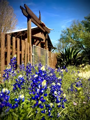 El Castell on the Llano River [Cabins C + D]
