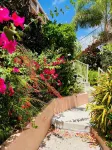 Idyllic, Romantic Caribbean Ocean Front View Coakley Bay Condo. Quiet East End - Pools