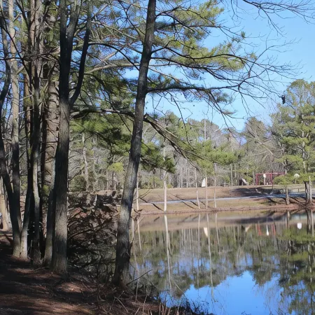 Beautiful Beach Cottage in Ocean Pines