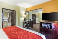 Comfort Suites Clinton Near Presbyterian College - Wifi