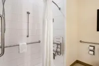 Hawthorn Extended Stay by Wyndham Corpus Christi I-37 NW