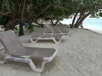 Fins Dive and Leisure Hotel - Beach