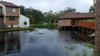 Your home away from home! A few minutes walk to the beach w/ pool & tennis - 2-stjärniga