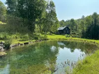 Rural Vermont with internet and Smart TV, cell phone works,  Dogs welcome. - 3-stjärniga