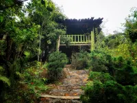 Mu Cang Homestay Hotels in 