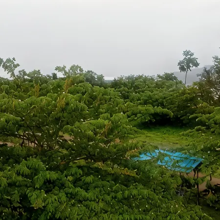 Green Hills Farm and Guest House