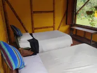 Agüita con Limón Natural Health - Hostels