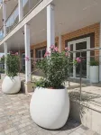 Leto Hotel - 2성급