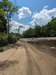 Summer Outdoor Retreat! Cozy Cabin on 5 Acres on Ausable River - Wifi