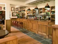 The Bear's Paw - bar