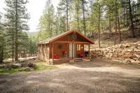 Private Hiking Trail! 2.4 Miles to Estes Park, Near Rmnp w/ King Bed. Dogs ok! - Chalets