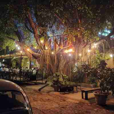 Casa de Elena – Tranquility, Peace & Relaxation Hotel Exterior
