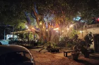 Casa de Elena – Tranquility, Peace & Relaxation