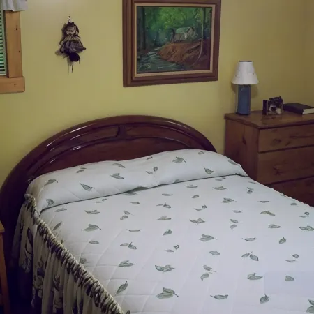 Sanitized! Creekside Cottage sits over Creek  Woods, Looking into Park!  Pets OK