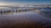 Meerblickd21 - Meerblick
