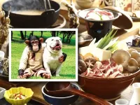 いろりの宿　民宿　乙姫の里 - 朝食