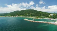 浦項詩泳池別墅 - 膳食民宿