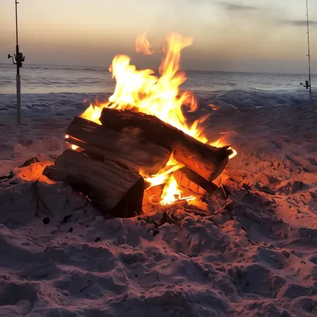 Shuckers & Beaches! In Beautiful Mexico Beach, FL