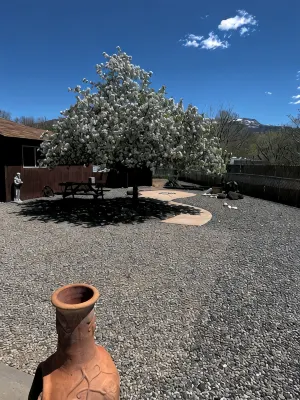 Welcome to wine country Colorado, relax @ the Palisade Chalet on your next trip.