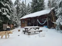 Cabin-Swim-Brook on Property-Views-Firepit-Woodstove-7 Min to Stratton-Dogs OK - Chalets