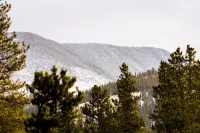 Cozy Snow Globe Like Cabin in Blue River Forest 7 Min to Breck. on Bus Route! - Chalets