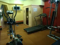 Janus Boutique Hotel & Spa - Gym
