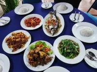 Tekoma Resort Taman Negara - 3-Star
