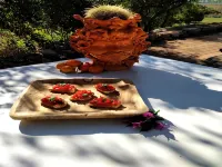 Terre di Vendicari - que admiten mascotas