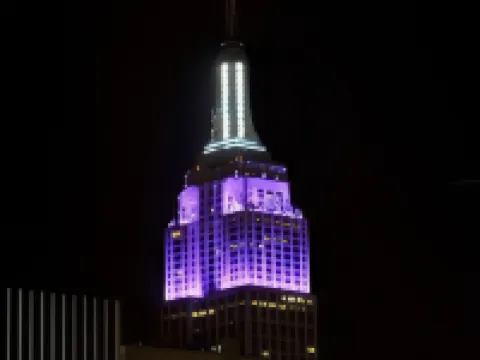 Hilton New York Times Square Hotels near Ripley's Believe It or Not! Times Square